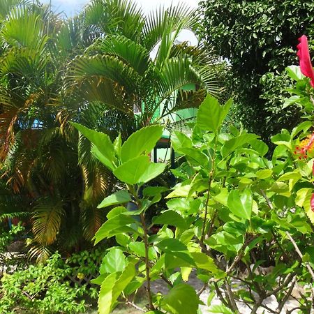 Hotel Posada Del Mar Fresh Water Bay 외부 사진