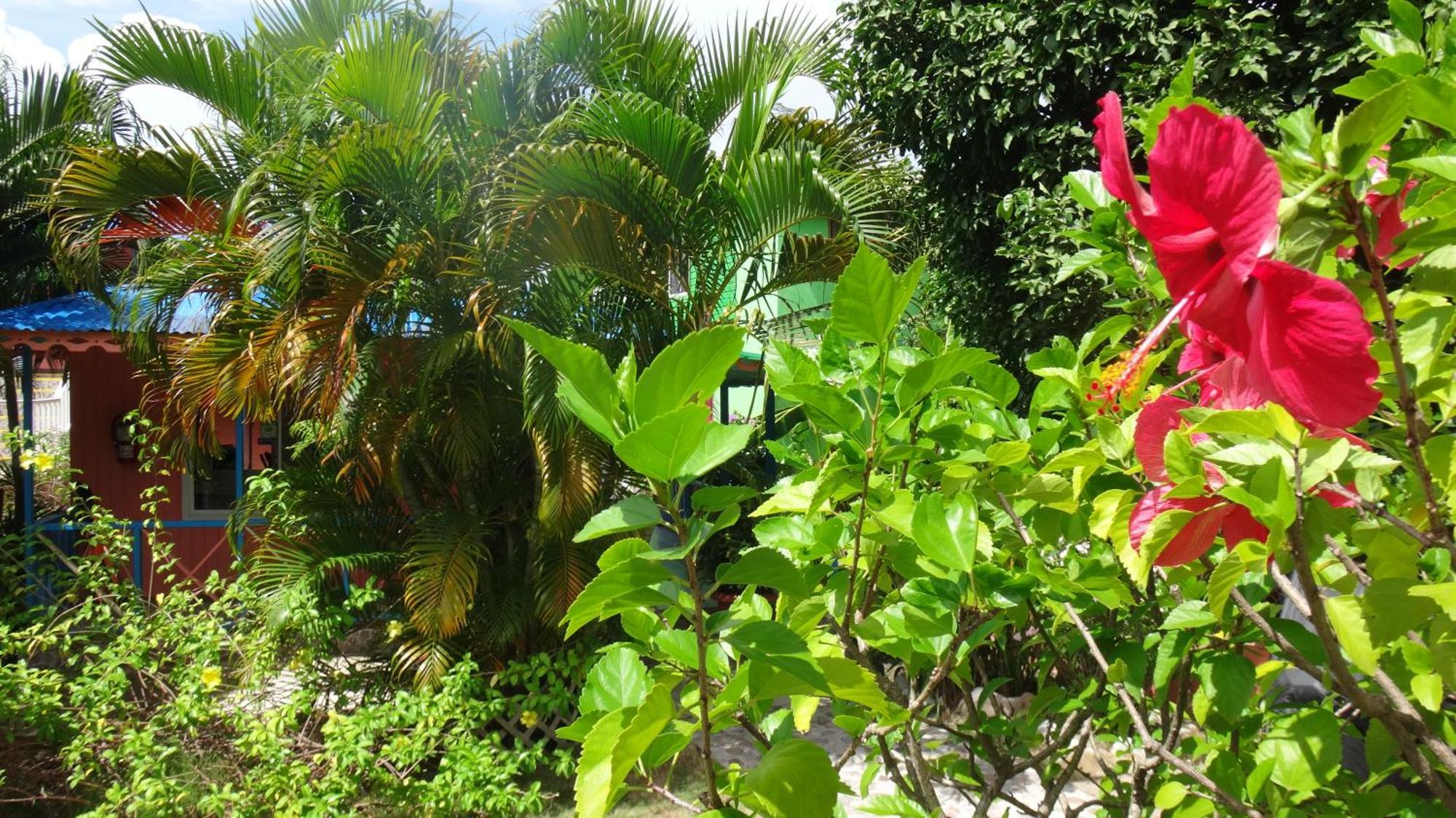 Hotel Posada Del Mar Fresh Water Bay 외부 사진